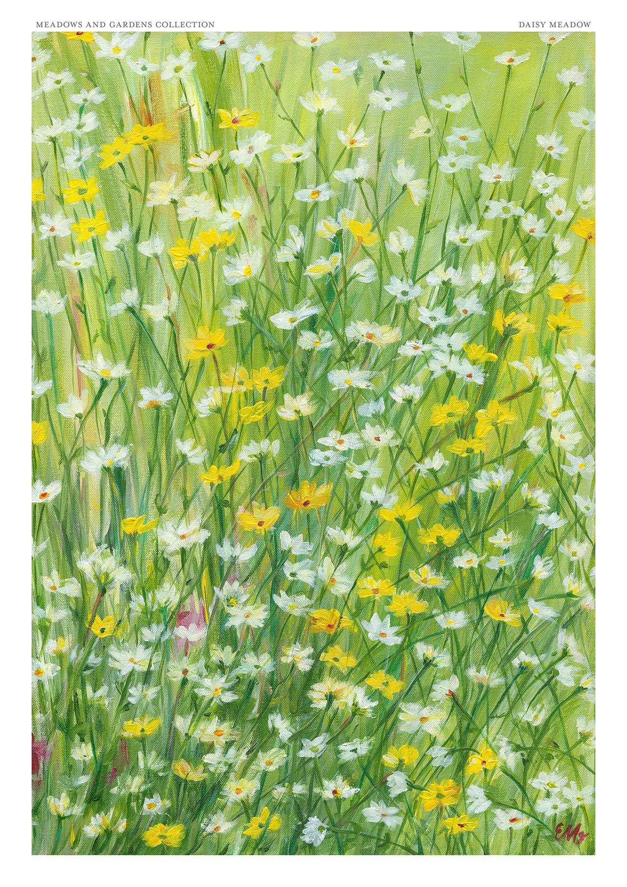 Lavender Fields Fine Art Print