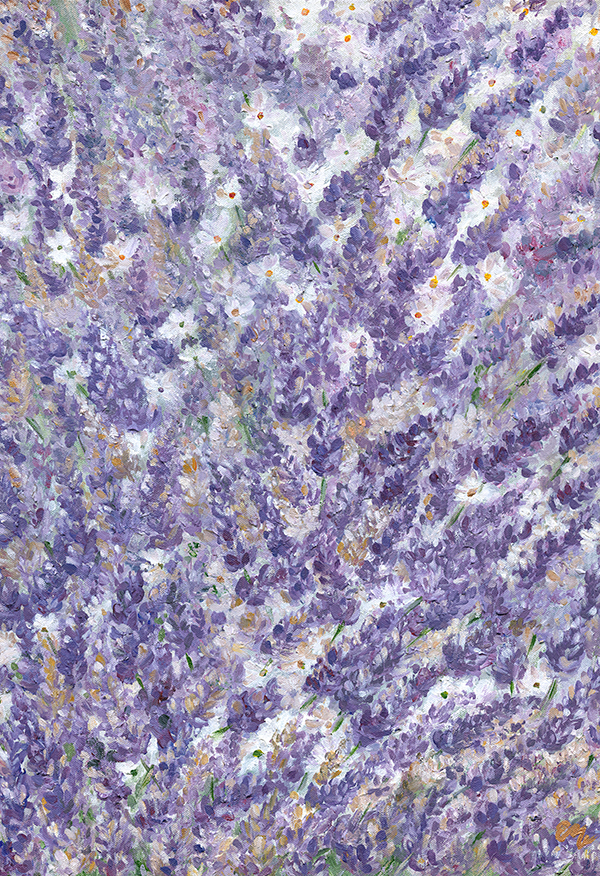 Lavender Fields Original Art - See Details