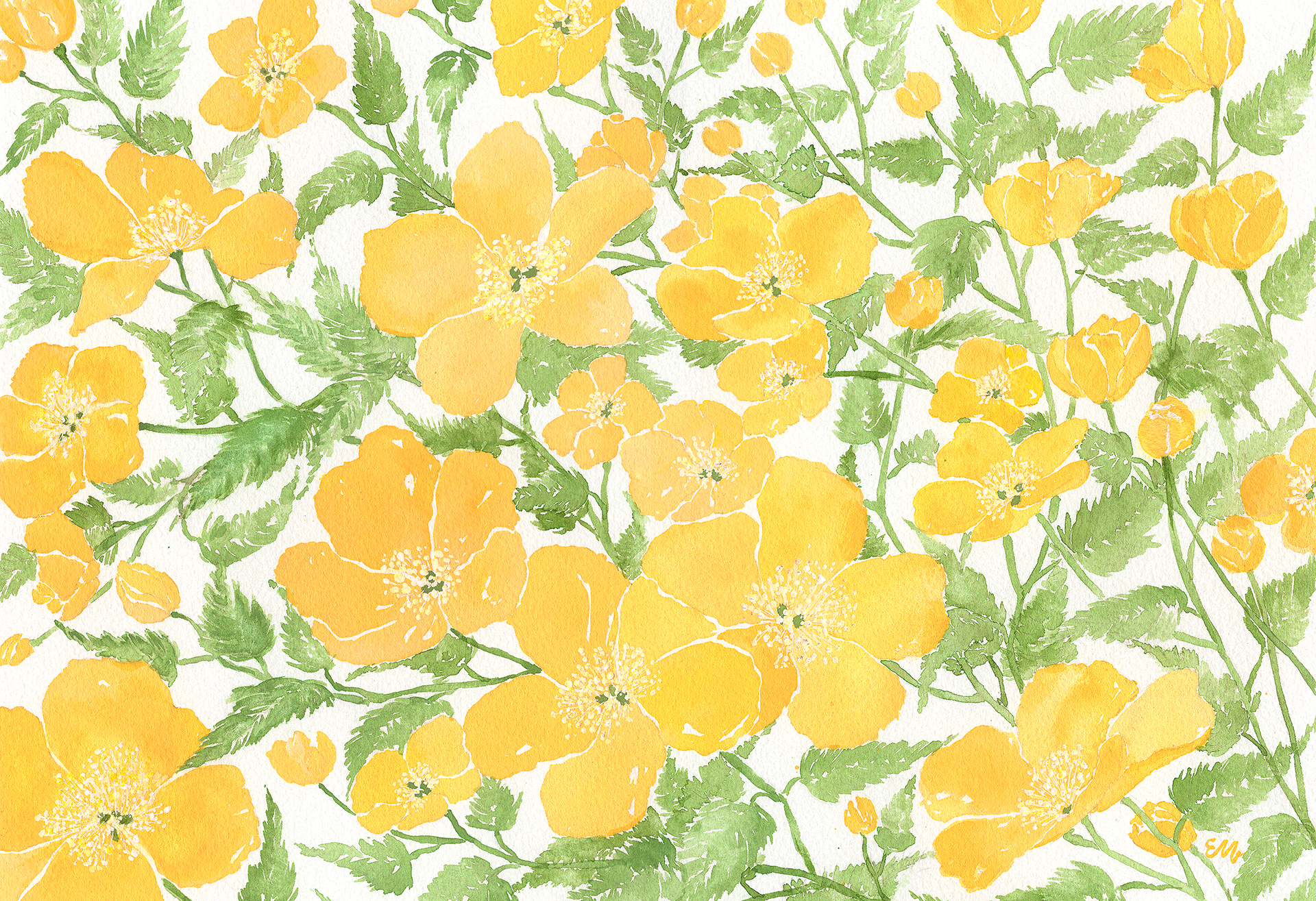 EM Yellow Wild Roses Original Art by Elena Panow